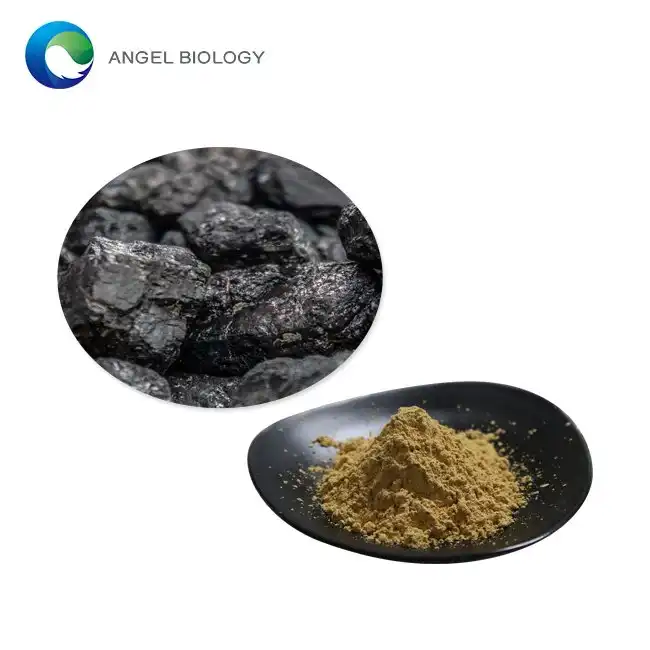 Shilajit Extract Powder